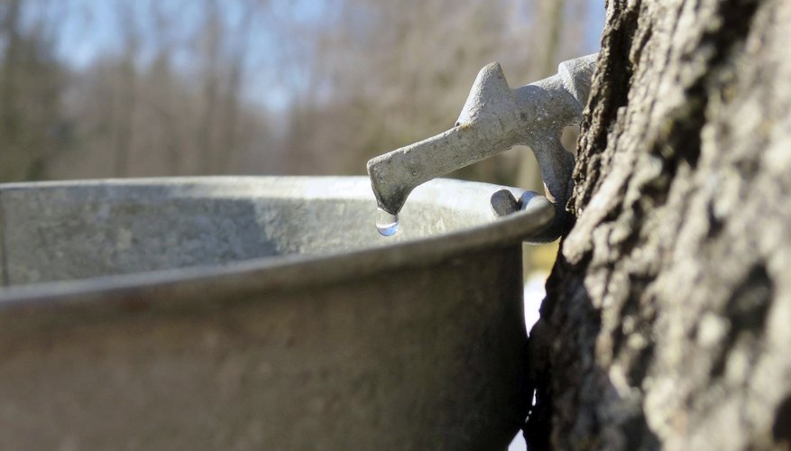 Each tap must be snug to prevent bacteria from entering. Each tap must be snug to prevent bacteria from entering.