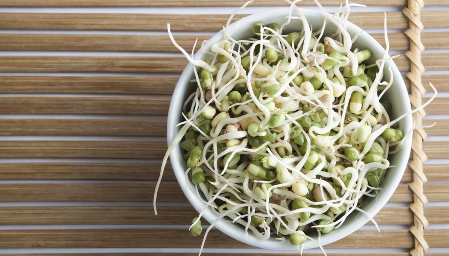 An overhead view of a bowl of mung bean sprouts on a bamboo mat. An overhead view of a bowl of mung bean sprouts on a bamboo mat.