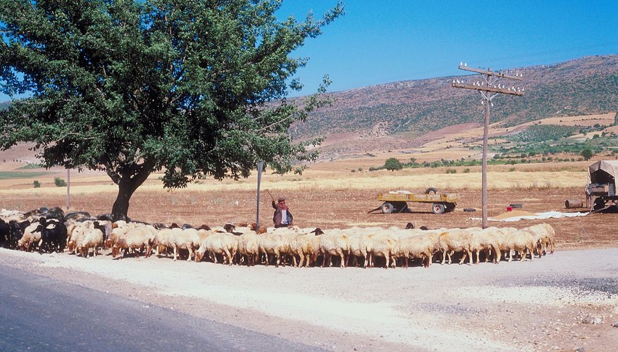 Anatolia Anatolia