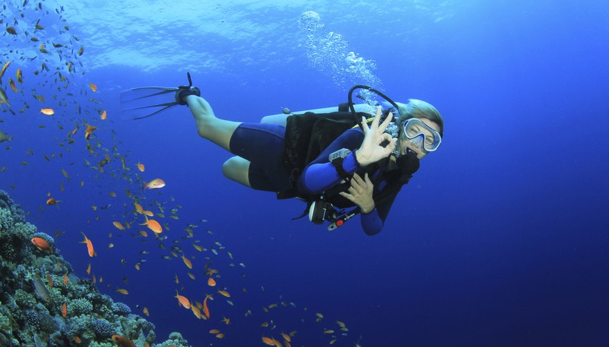 A SCUBA diver exploring. A SCUBA diver exploring.