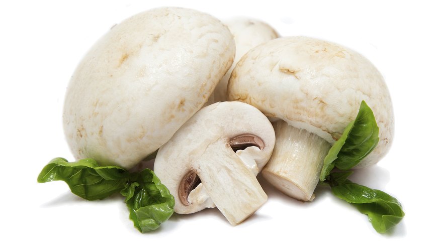 Many mushrooms are edible, while others are outright deadly. Many mushrooms are edible, while others are outright deadly.