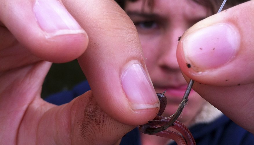 Set a nightcrawler or other type of catfish bait on the hook. Set a nightcrawler or other type of catfish bait on the hook.