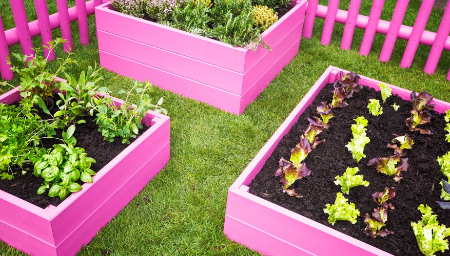 Use different sizes of raised garden beds to meet your needs and preferences. Use different sizes of raised garden beds to meet your needs and preferences.