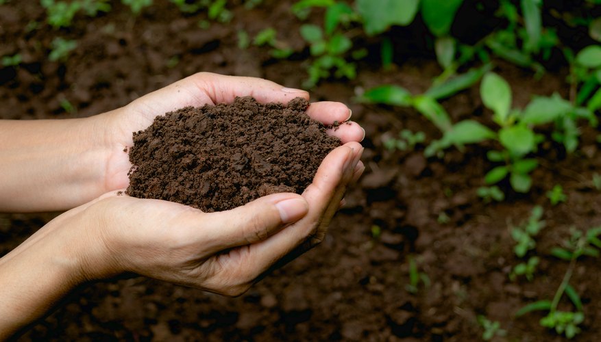 Creating Your Own Compost Bin Creating Your Own Compost Bin
