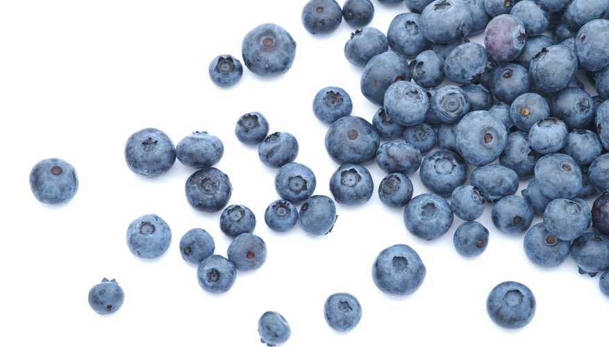 Difference Between Blueberries & Huckleberries Difference Between Blueberries & Huckleberries