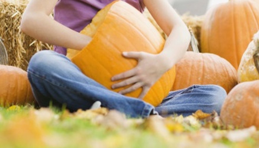Gut a pumpkin to create a festive container for your brains. Gut a pumpkin to create a festive container for your brains.