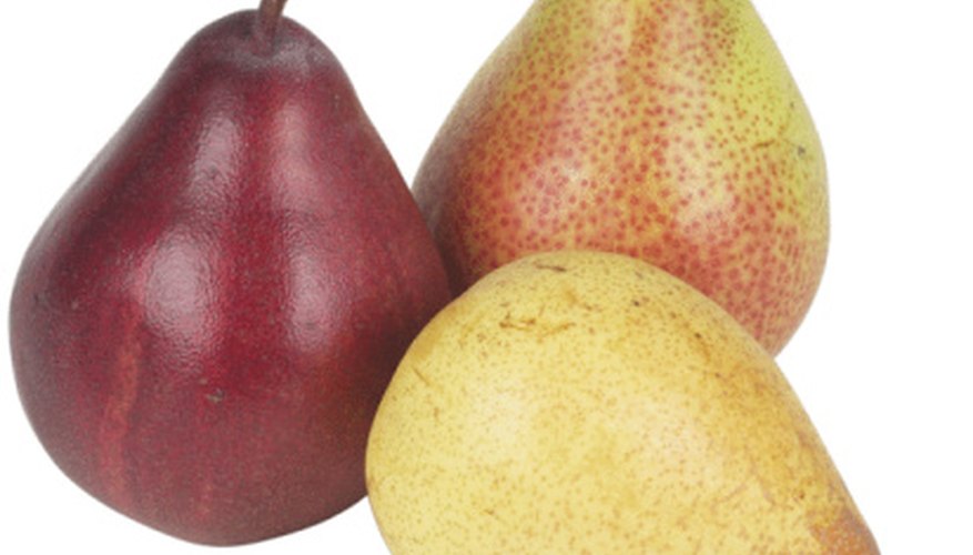 The real issue with mature pears is storing them correctly. The real issue with mature pears is storing them correctly.