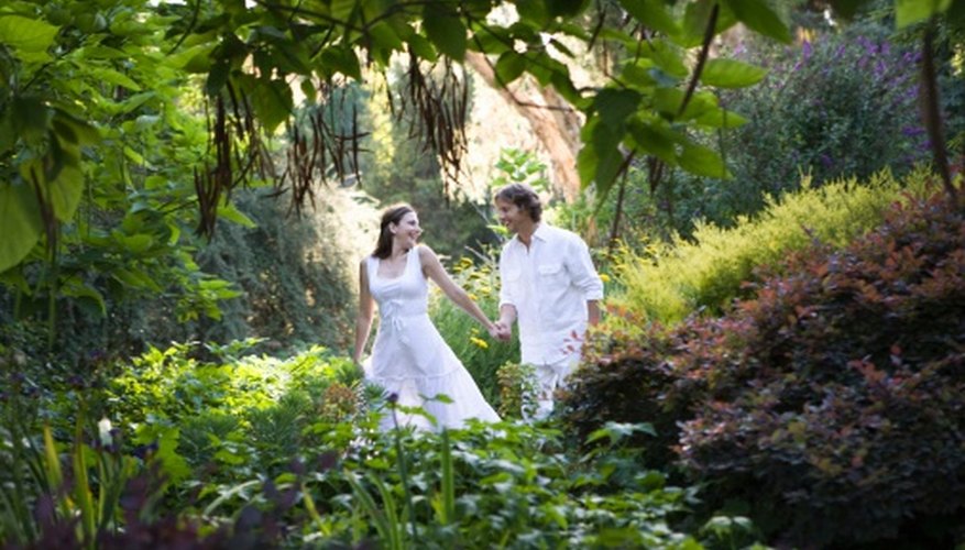 A carefully-arranged garden is more attractive and easier to care for. A carefully-arranged garden is more attractive and easier to care for.