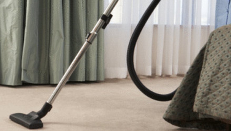 Vacuuming is a vital part of getting rid of fleas. Vacuuming is a vital part of getting rid of fleas.