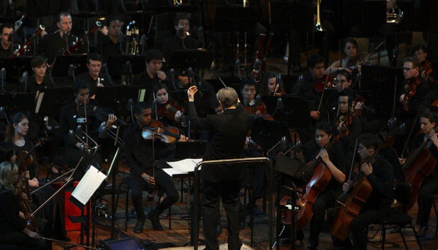 The conductor is the only person in the orchestra without an instrument. The conductor is the only person in the orchestra without an instrument.