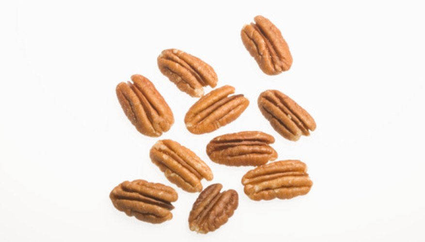 Mature pecan trees grow up to 70 feet in height. Mature pecan trees grow up to 70 feet in height.