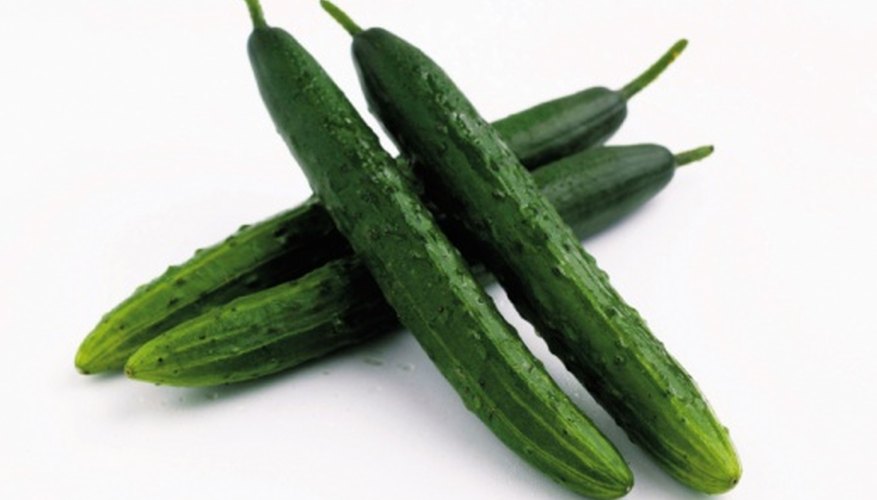 Learn the differences between a variety of cucumbers. Learn the differences between a variety of cucumbers.