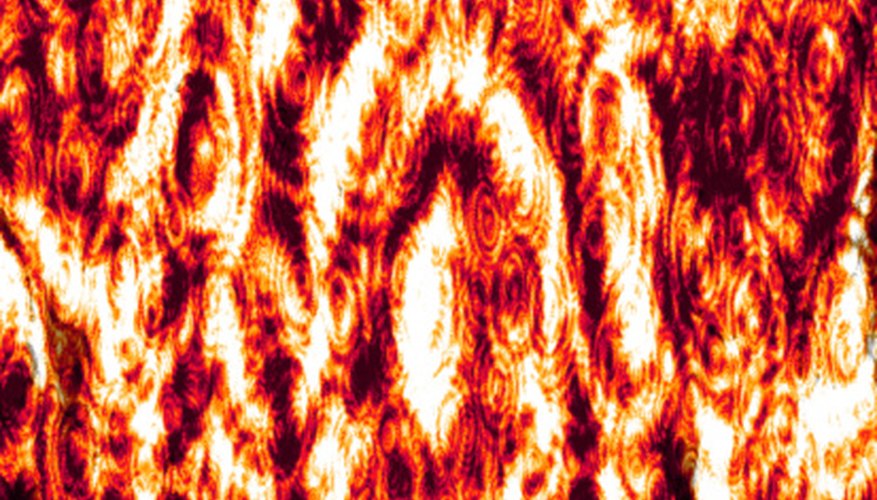 Carpet can be used to cover the weeds so the light does not reach them. Carpet can be used to cover the weeds so the light does not reach them.