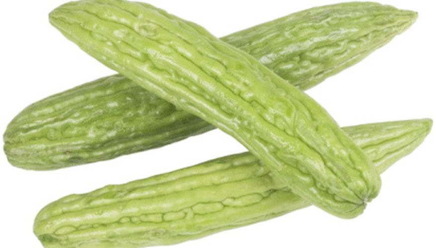 Snake gourds look like super-sized cucumbers. Snake gourds look like super-sized cucumbers.