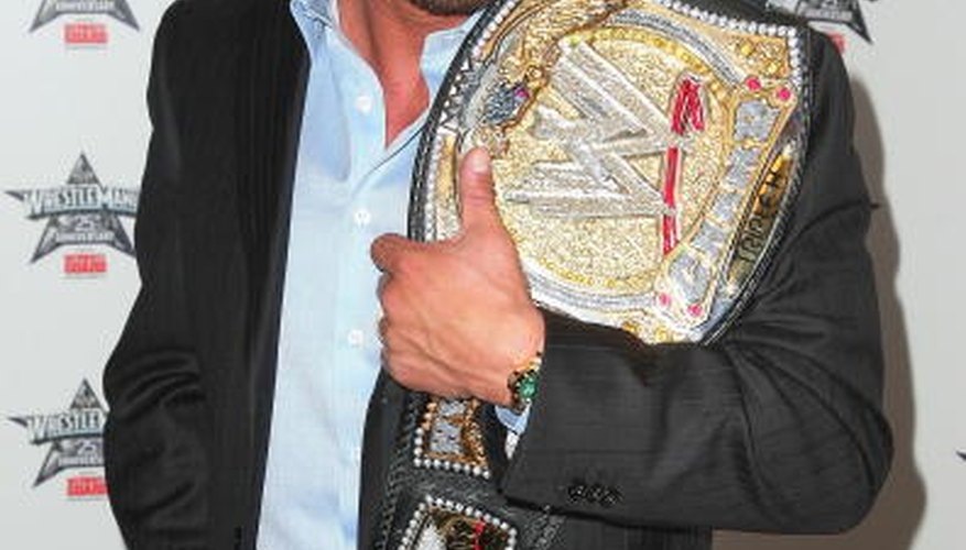 Thirteeen-time world champion Triple H Thirteeen-time world champion Triple H
