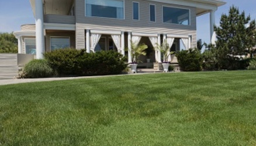 A healthy lawn creates a welcoming atmosphere. A healthy lawn creates a welcoming atmosphere.