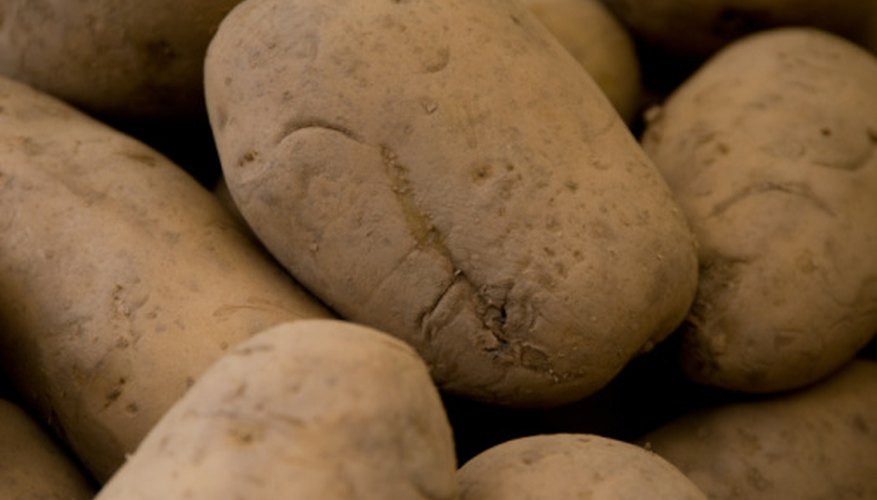 Potatoes must grow tubers to stay alive. Potatoes must grow tubers to stay alive.