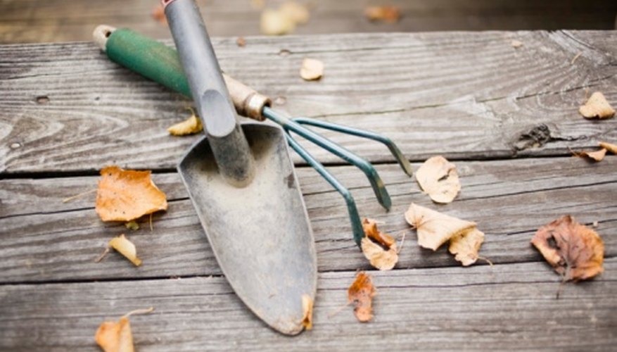 Short-handled tools allow you to get in between closely spaced plants. Short-handled tools allow you to get in between closely spaced plants.