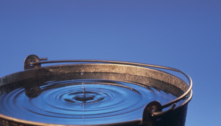 Photo Credit: Comstock/Comstock/Getty Images Soak shells in a bucket of bleach and water for several hours.