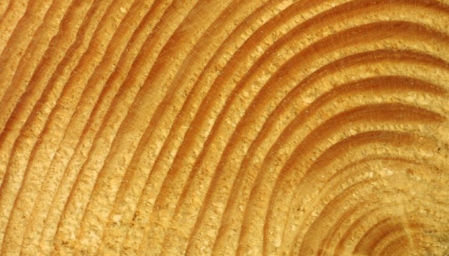 Do not attempt to paint on freshly cut tree branch slices. Do not attempt to paint on freshly cut tree branch slices.