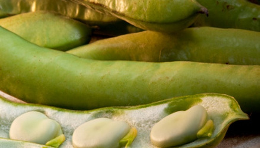 Peas come in pods in nature. Peas come in pods in nature.