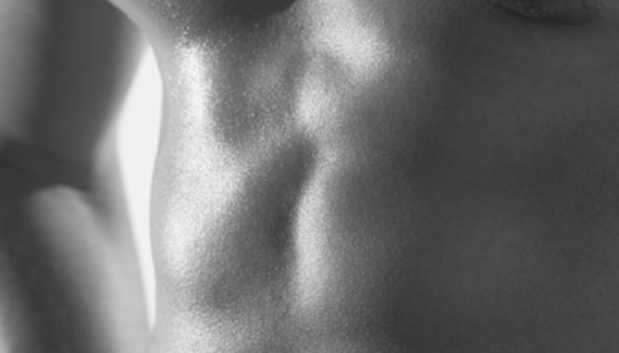 Abs and pecs are the main muscles on a man's torso. Abs and pecs are the main muscles on a man's torso.