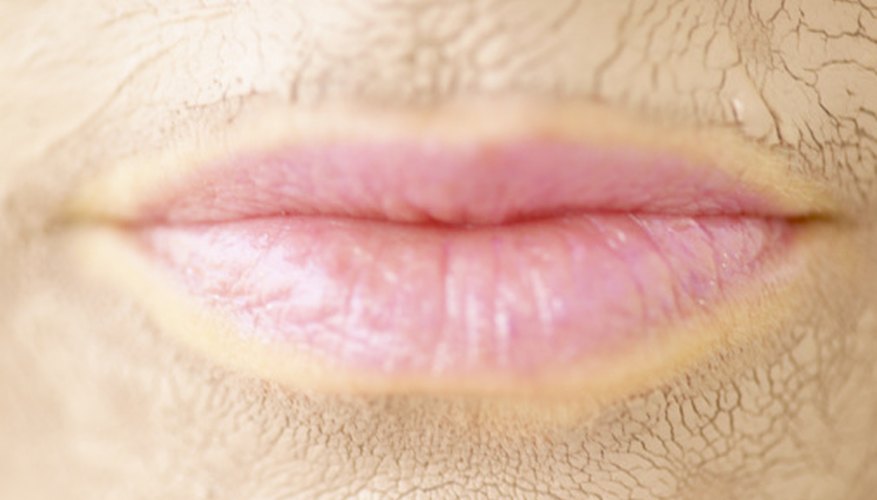 Lips have distinctive contours. Lips have distinctive contours.