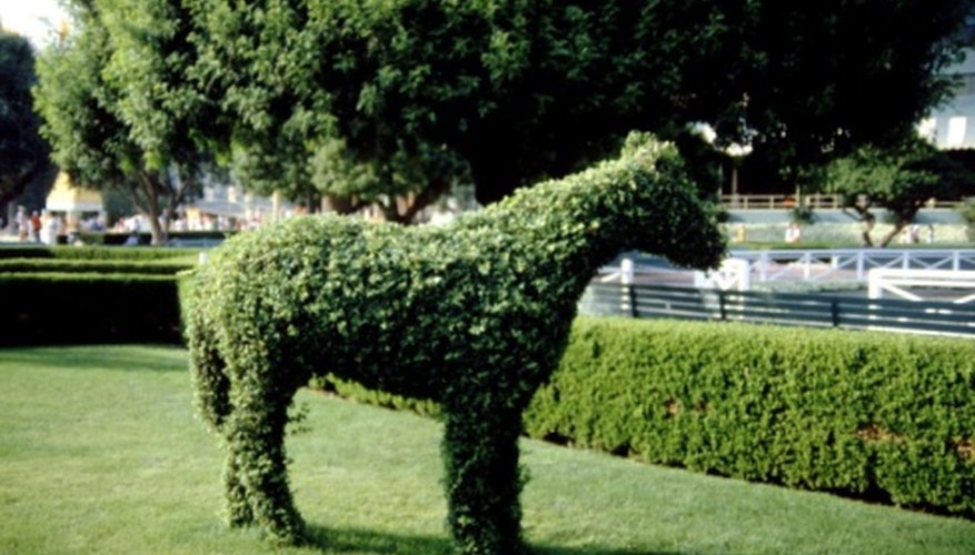 Your bushes can be pruned into all sorts of fun shapes. Your bushes can be pruned into all sorts of fun shapes.