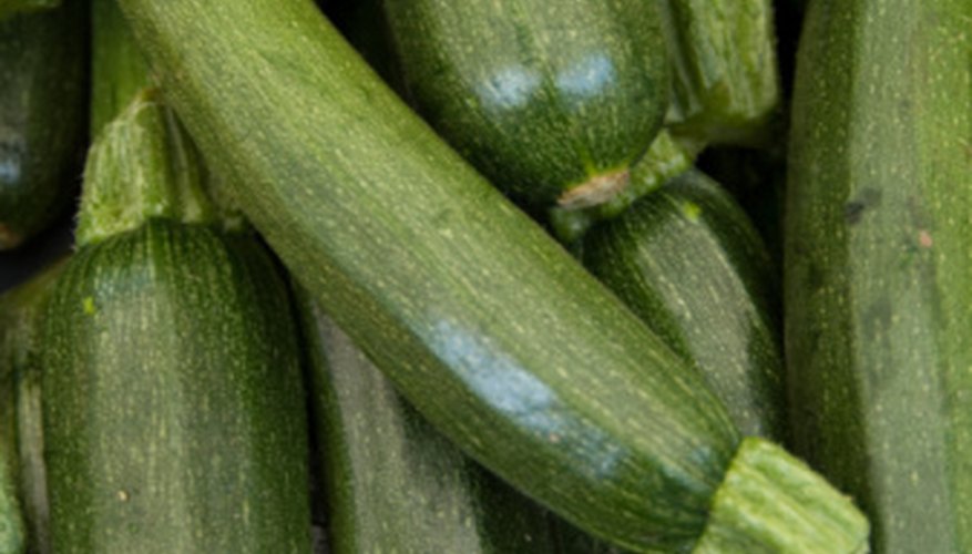 Zucchini is a popular summer squash that can be prepared in many different ways. Zucchini is a popular summer squash that can be prepared in many different ways.