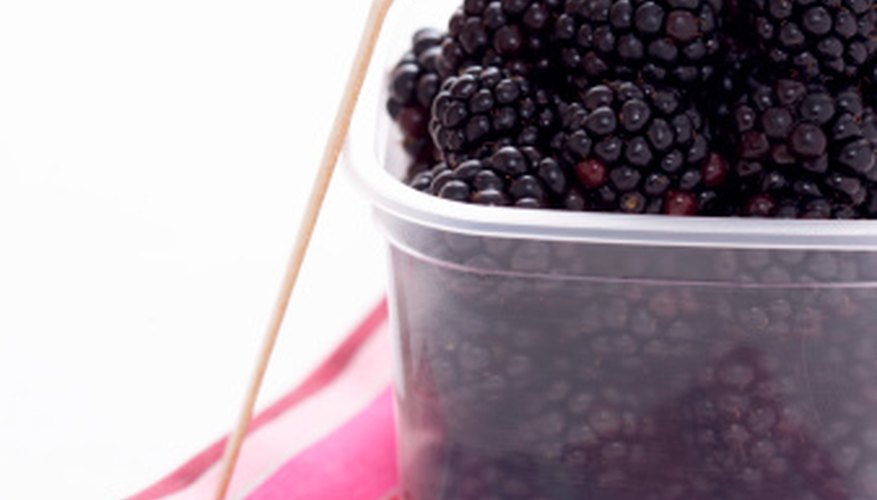 Blackberries offer tasty treats during the summer. Blackberries offer tasty treats during the summer.