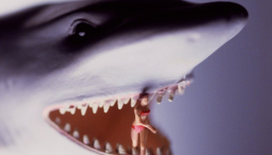 Create a paper mache shark head. Create a paper mache shark head.