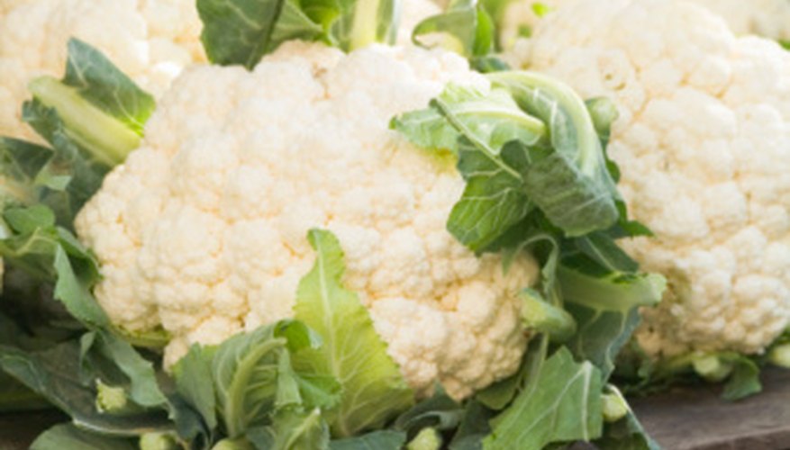 Cauliflower is a versatile cole crop. Cauliflower is a versatile cole crop.
