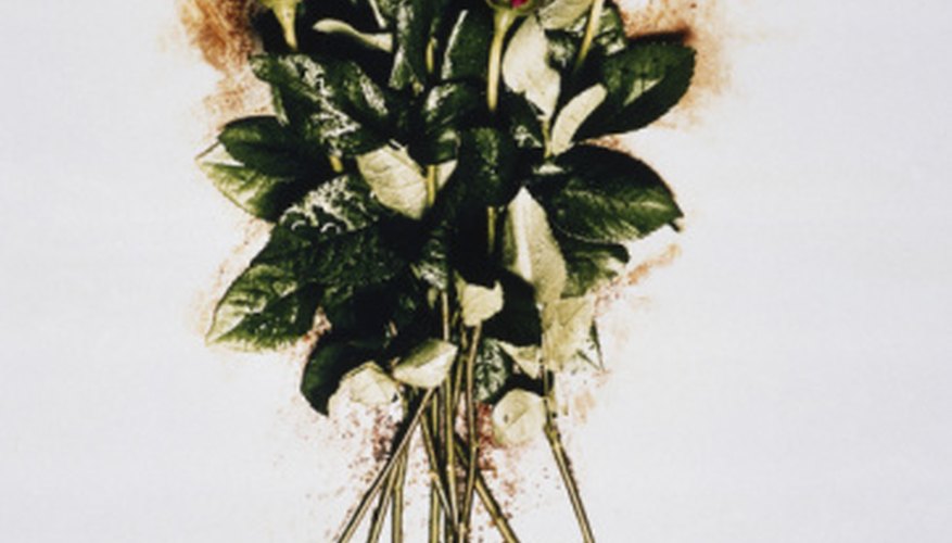 Flower stems and buds are often drawn with colored pencils using photo referencing. Flower stems and buds are often drawn with colored pencils using photo referencing.
