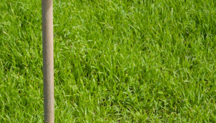 Pet-friendly fertilizers can be just as effective as other commercial fertilizers. Pet-friendly fertilizers can be just as effective as other commercial fertilizers.