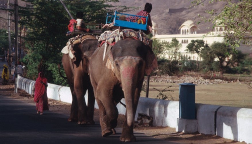In some countries, elephants are a prestigious form of transportation. In some countries, elephants are a prestigious form of transportation.