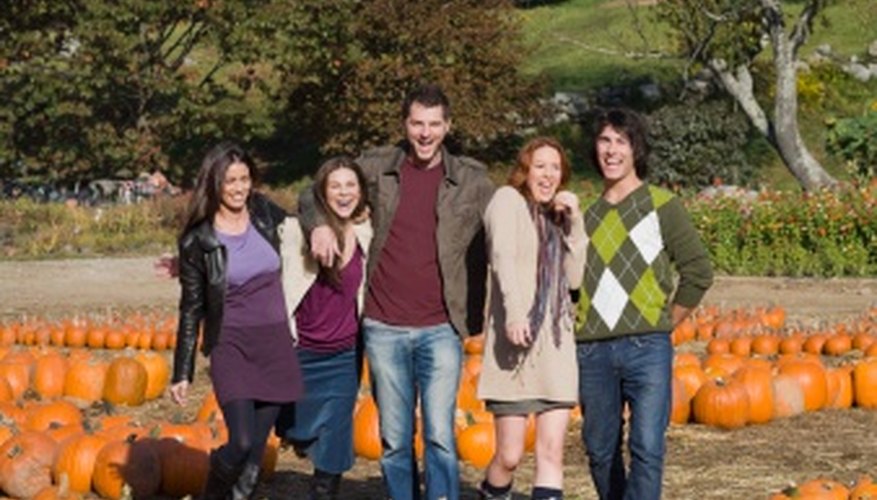 Depending on the variety, pumpkins are usually ready to harvest in about 100 days. Depending on the variety, pumpkins are usually ready to harvest in about 100 days.