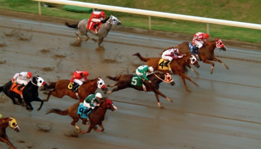 Win the Triple Crown by creating your own horse race board game. Win the Triple Crown by creating your own horse race board game.