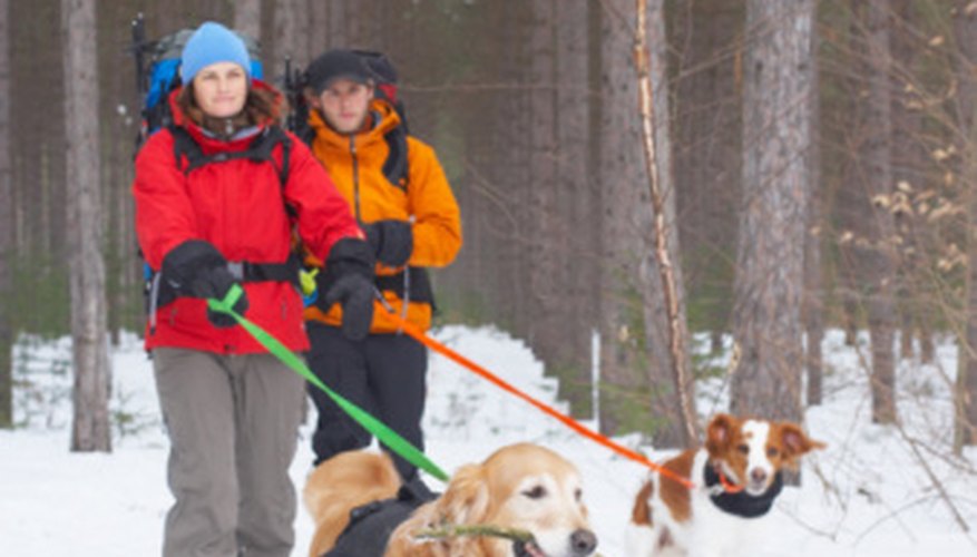 Leashes are made from nylon webbing. Leashes are made from nylon webbing.