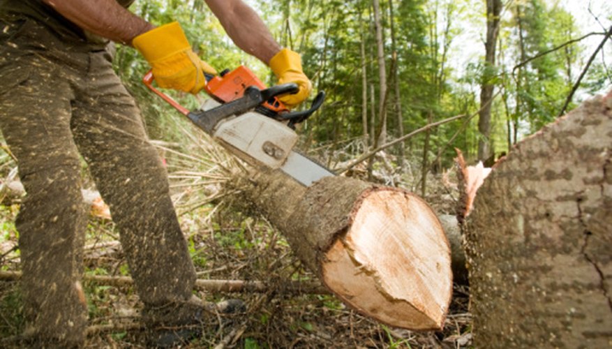 To keep your chainsaw at peak levels, perform a tune-up at least once a season. To keep your chainsaw at peak levels, perform a tune-up at least once a season.