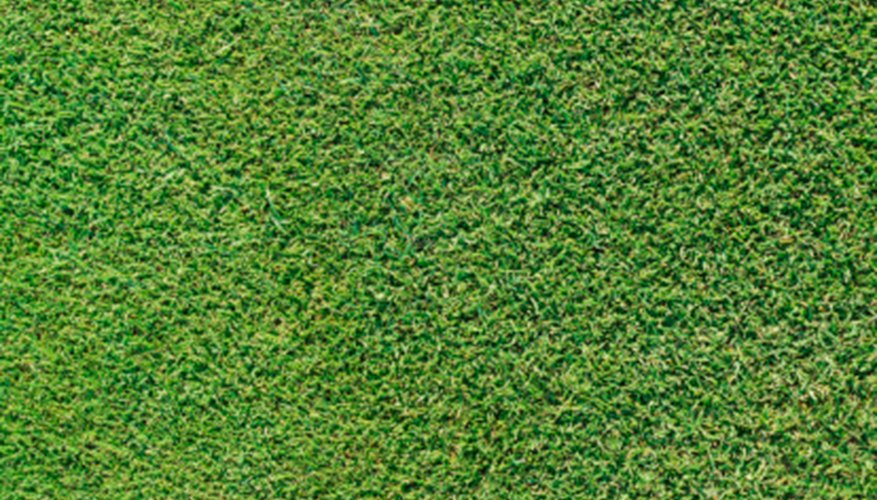 Sprinkler adjustment helps in effective plant growth. Sprinkler adjustment helps in effective plant growth.