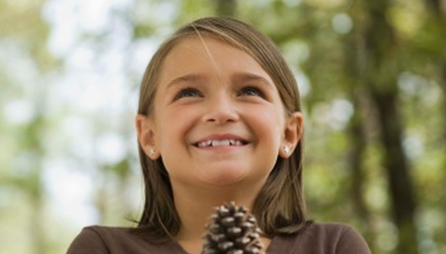 Delight your kids with pine cone crafts. Delight your kids with pine cone crafts.