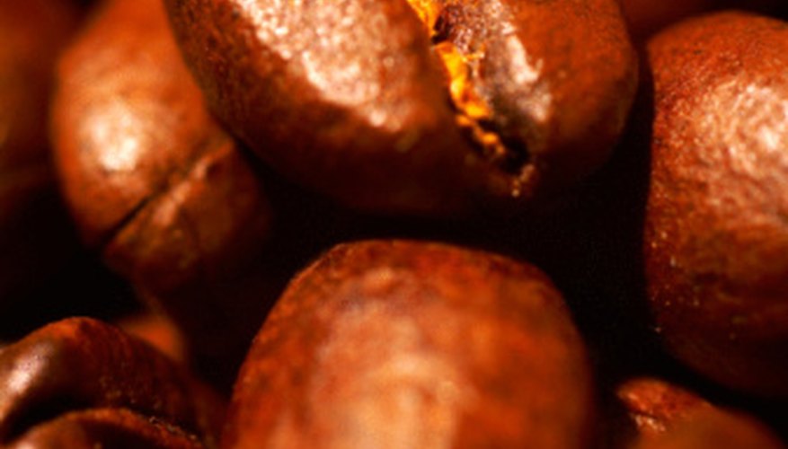 Produce fresh coffee beans by growing your own coffee tree. Produce fresh coffee beans by growing your own coffee tree.