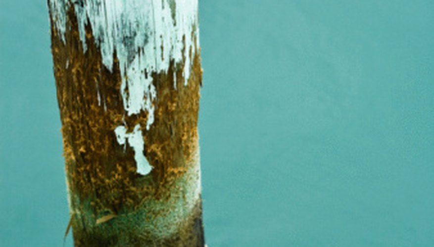 Fouling organisms attach to piers as well as boat hulls. Fouling organisms attach to piers as well as boat hulls.