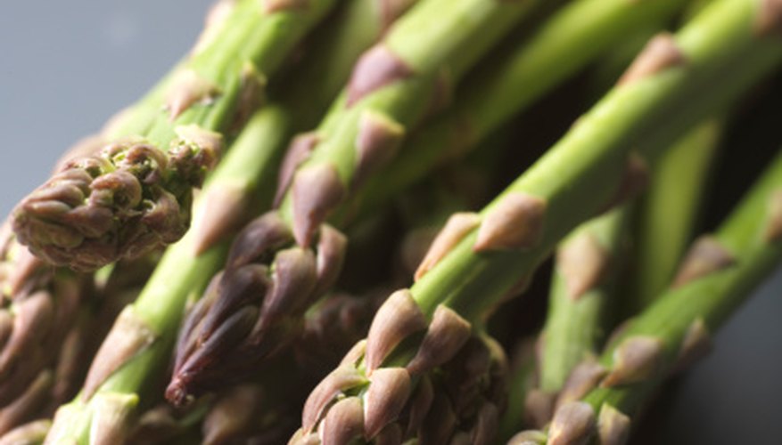 Frost can damage young asparagus spears. Frost can damage young asparagus spears.