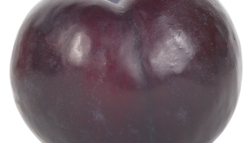 A ripe plum will develop a dusky hue over the glossy skin. A ripe plum will develop a dusky hue over the glossy skin.