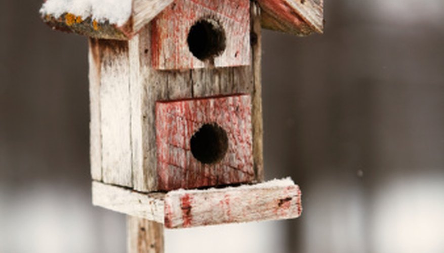 Children will enjoy making their own birdhouse. Children will enjoy making their own birdhouse.