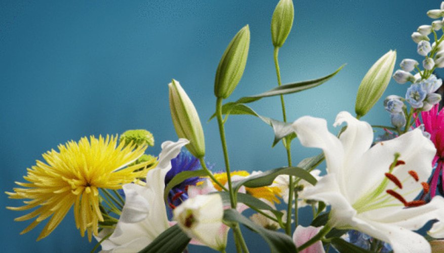 Proper care turns buds into fresh, vibrant flowers. Proper care turns buds into fresh, vibrant flowers.