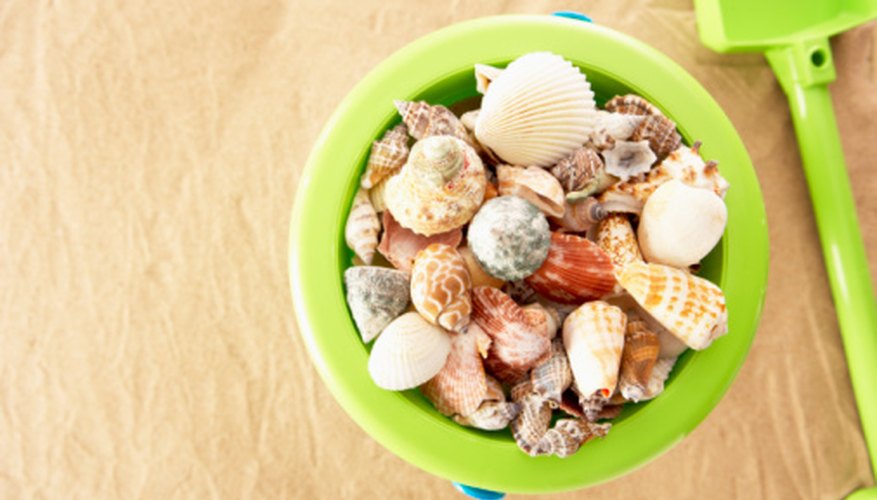 Photo Credit: BananaStock/BananaStock/Getty Images Check for animals inside shells.