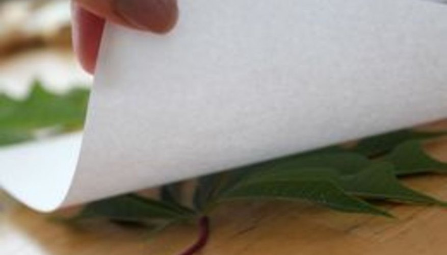 Needs one more piece of paper to prevent unwanted textures. Needs one more piece of paper to prevent unwanted textures.