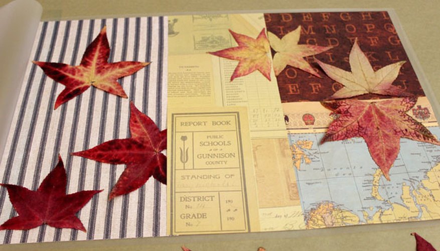 Arrange leaves on the paper. Arrange leaves on the paper.